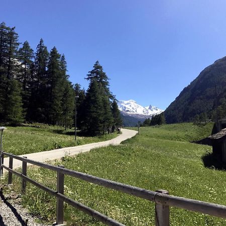 B&B Matterhorn Golf Randa Εξωτερικό φωτογραφία